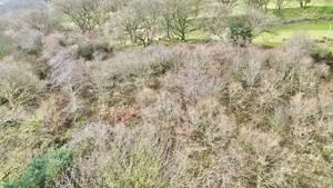 Photo 26- click for photo gallery